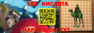 прущие грибы Свободный