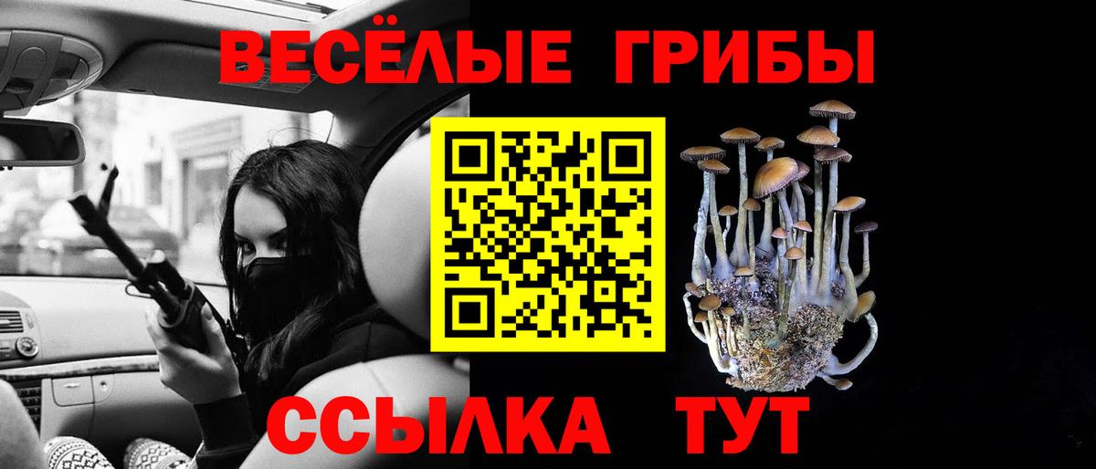 Галлюциногенные грибы MAGIC MUSHROOMS  Вход с VPN  даркнет сайт  Нальчик 